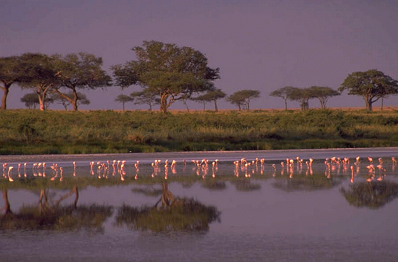 water_pollution_sustainable_development_potable_trinkwasser_africa_india_bengladesh_desert_drought_scheresse